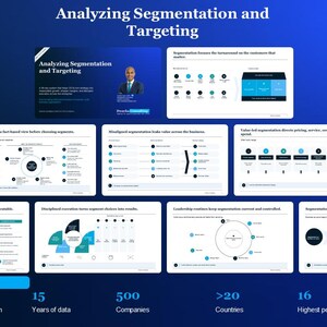 Analyzing Segmentation and Targeting Program For CEOs & Chief Marketing Officer (CMO)