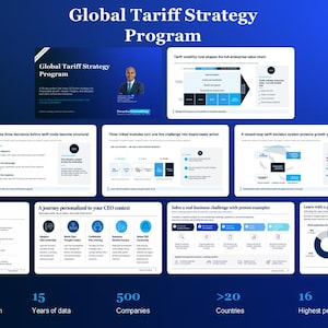 Global Tariff Strategy Program For CEOs (200+ Slides, 101 Excel Models, CEO Playbook)