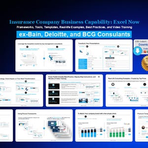 Insurance Business Capability Toolkit: Excel Templates & Training