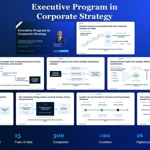 Puede incluir: Una presentación digital titulada Executive Program in Corporate Strategy que incluye varias diapositivas con diagramas, texto y puntos de datos. El diseño incluye una diapositiva de título, siete gráficos de procesos detallados y un resumen.