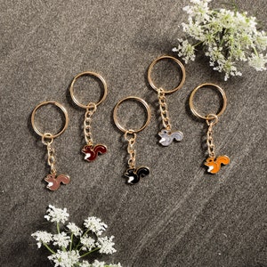 Keychain squirrel - 5 x different colors
