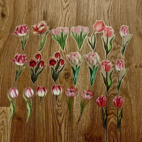 Tulpen, gepresste Blumen Sticker  - Aufkleber - Wasserfest & sehr stabil - 20 Stück - für Journal, Scrapbooking