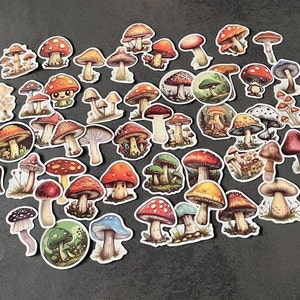 Pilze, Pilz - Sticker - Aufkleber - Wasserfest & sehr stabil - 25 Stück - für Journal, Scrapbooking