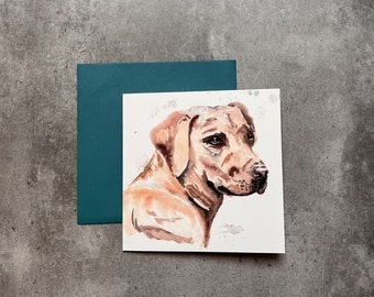 Folding card - greetings card - birthday card - Labrador - with envelope