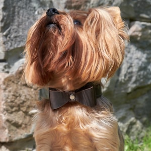 Leather dog bow collar, Dog bow tie collar wedding, Bow dog collar for large dogs, Handmade dog collar, Custom dog collar with bow tie