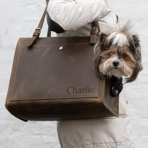 Dog Carrier Tote Etsy