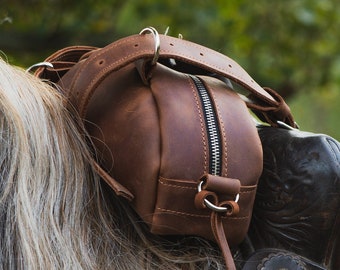 Leather horse saddle bag, Rider gift, Small saddle bags, Leather saddle bag for horses, Gift for riding instructor, Custom saddle bag purse