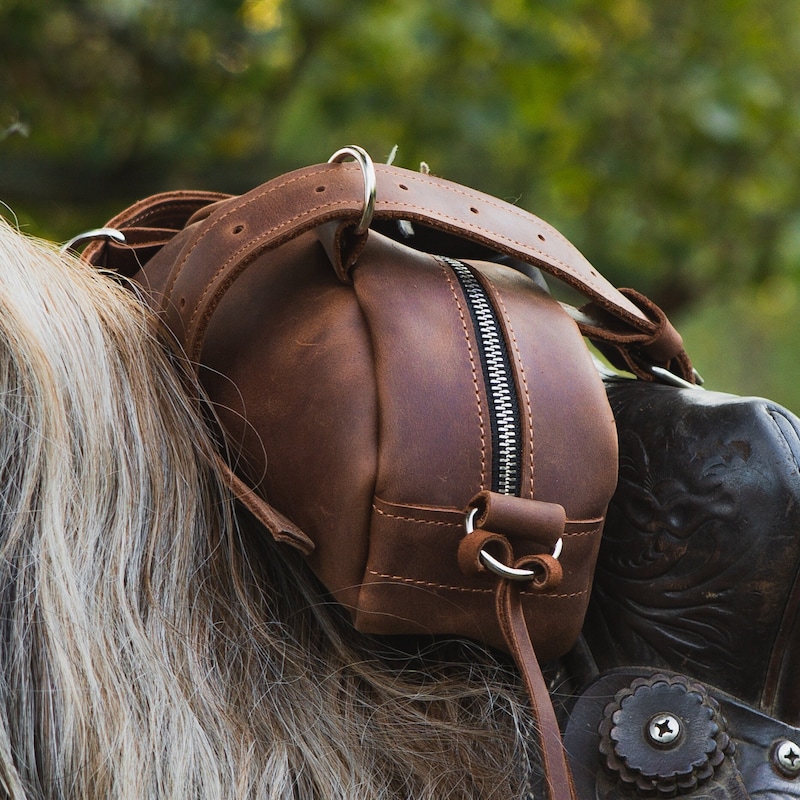 Personalisierte Pferdesatteltasche, Pferdegeschirr, Pferdezeug für echtes Pferd, Handgemachte Satteltasche, Westernsatteltasche, Ledersatteltasche