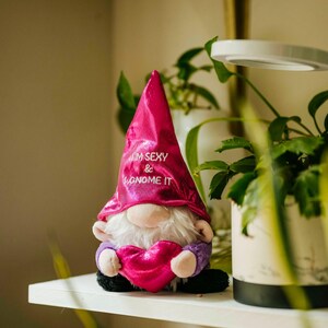 May include: A pink plush gnome with a pink hat that says "I'm Sexy & Gnome It" holding a pink heart. The gnome is sitting on a white shelf with a green plant in a white pot behind it.