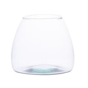 Terrarium Plants - Crystal Terrarium - Crystal Pot