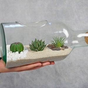 Decorative Table Center - Plants Terrarium - Living Room Decoration - Crystal Terrarium Artificial Plant - Dining Table Decoration