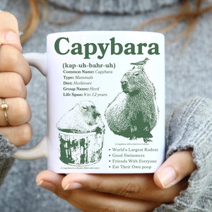 Capybara Coffee Mug, Vintage Inspired Capybara Graphic Mug, Trending Meme Mug, Retro Capybara Gift Cup