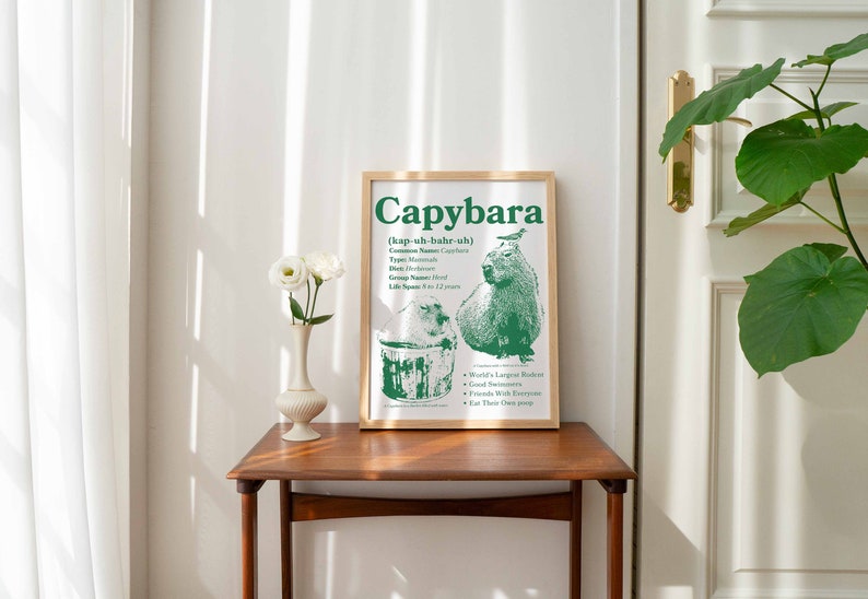 May include: A framed green and white poster with the word "Capybara" in large green letters. The poster also includes a drawing of a capybara, a small bird, and a bucket. The text on the poster reads "(kap-uh-bahr-uh)" and "World's Largest Rodent".