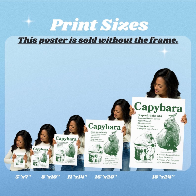 May include: A set of six posters showing different sizes of a poster featuring a capybara. The poster has a green background and features a drawing of a capybara with the text "Capybara (kap-uh-bahr-uh)" and some facts about the animal. The poster sizes are 5"x7", 8"x10", 11"x14", 16"x20", and 18"x24".