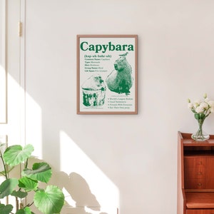 May include: A green and white poster with the word "Capybara" in bold green letters. The poster features a drawing of a capybara with a bird on its head. The poster also includes the text "(kap-uh-bah-rah)" and a list of facts about capybaras.