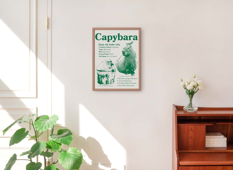 May include: A green and white poster with the word "Capybara" in bold green letters. The poster features a drawing of a capybara with a bird on its head. The poster also includes the text "(kap-uh-bah-rah)" and a list of facts about capybaras.