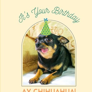 Dumme Chihuahua Geburtstagskarte Digitaldruck (Tierbesitzer, Hundeliebhaber, Wortspiele, Party, Luftballons, Getränke, Essen, Leckereien, BDay, Best in Show, Tier)