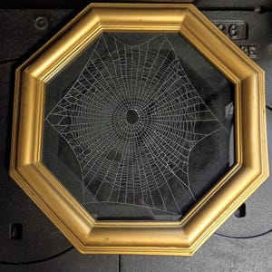May include: An octagonal gold-coloured frame containing a preserved spider web displayed against a black background. The intricate, circular web pattern is centred within the frame, showcasing fine white silk threads radiating from a central point.