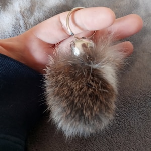 Real Taxidermied Cottontail Rabbit Tail Key Chain