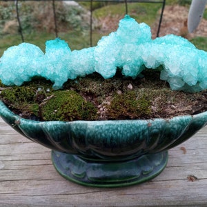Crystalized Wild Turkey Humorous Bone in Vintage Art Pottery Planter