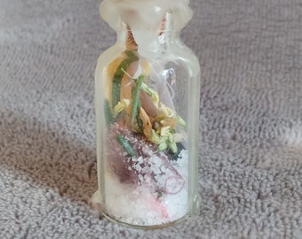 Miniature Glass Protection Spell Jar Witchy Oddities Feathers, Salts, Quartz