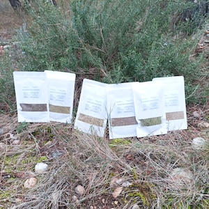 Spanish thyme - Etsy 日本