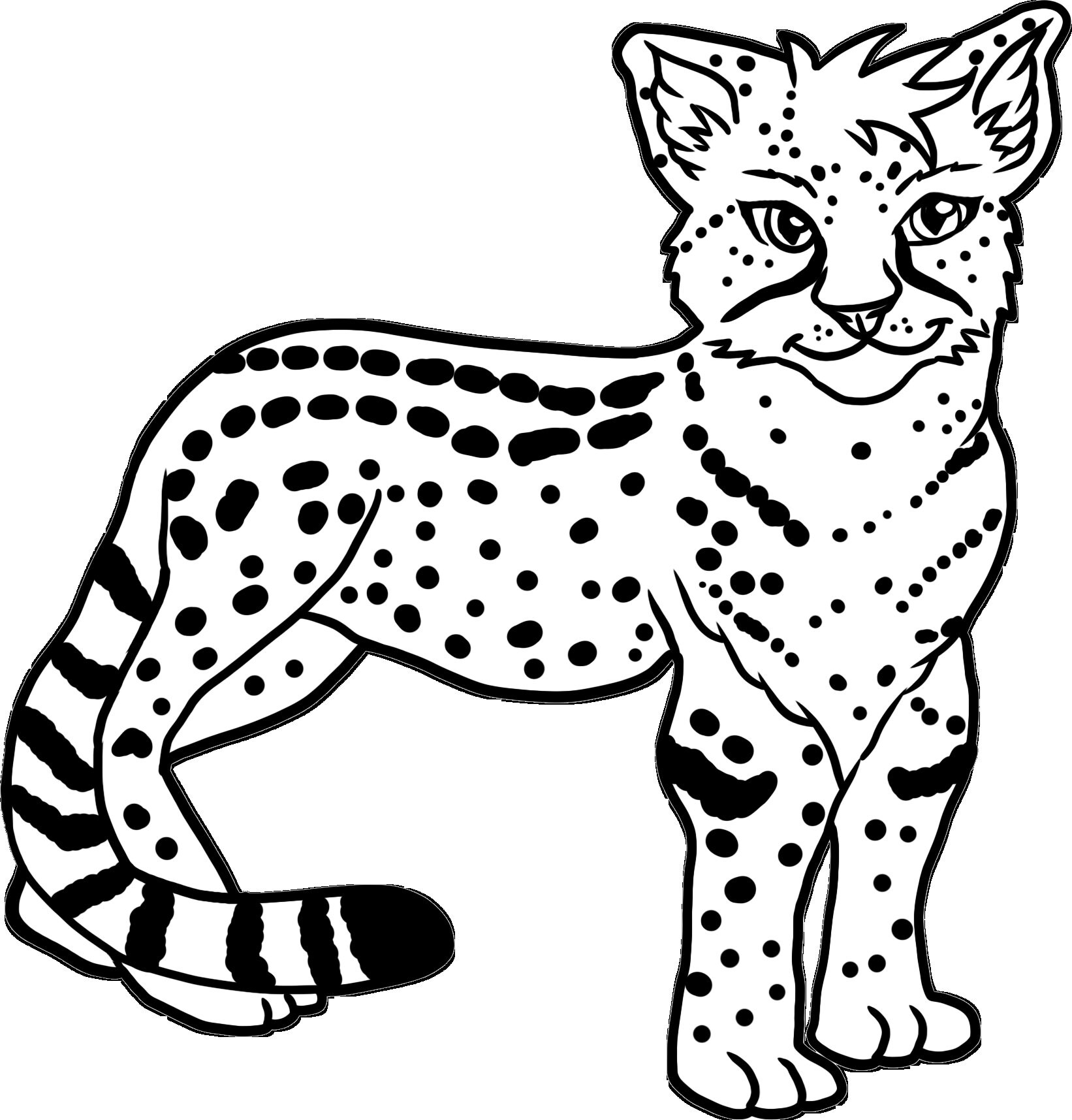 African Cheetah Adult Color and Draw Set - Etsy