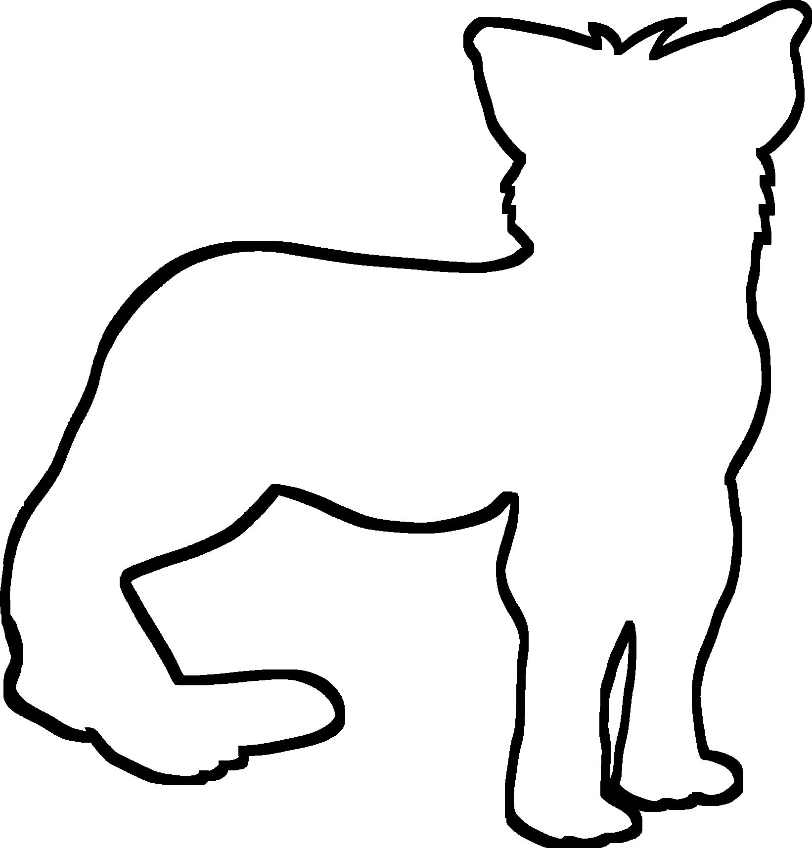 African Cheetah Adult Color and Draw Set - Etsy