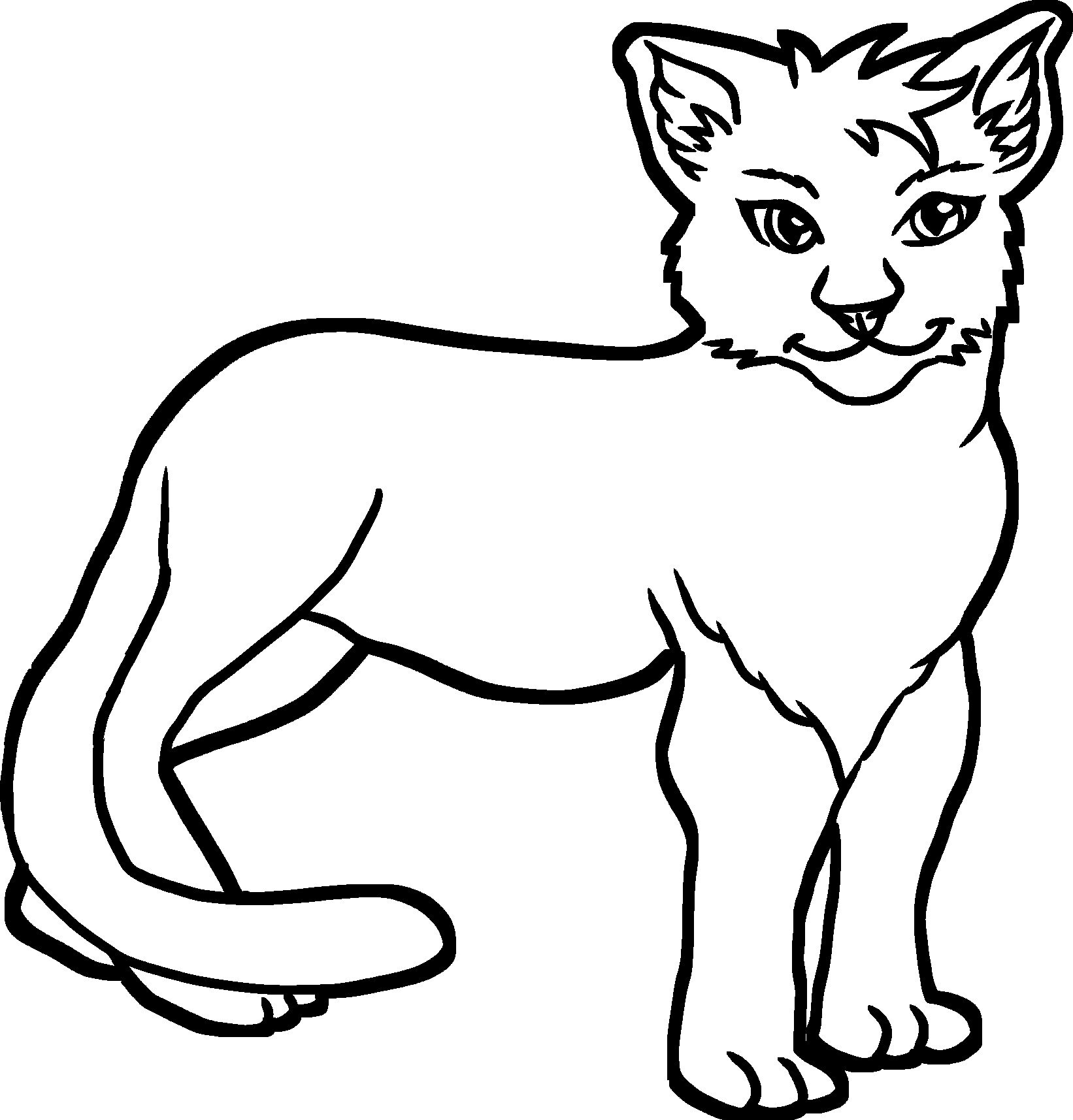 African Cheetah Adult Color and Draw Set - Etsy