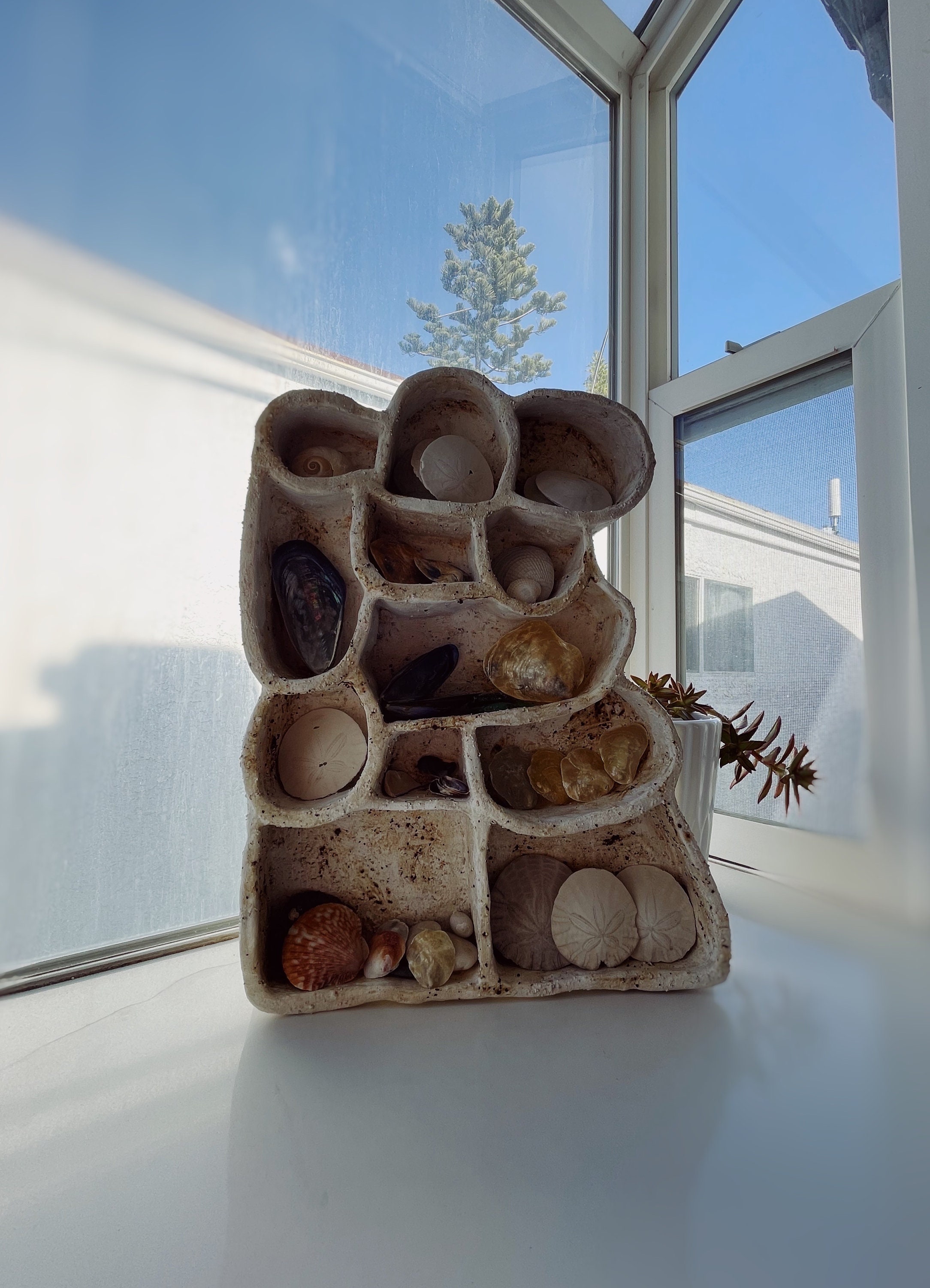 Clam Shell Cubbies Ceramic Treasure Shelf - Clay Curio Shelf - Trinket Shelf - Crystal ...