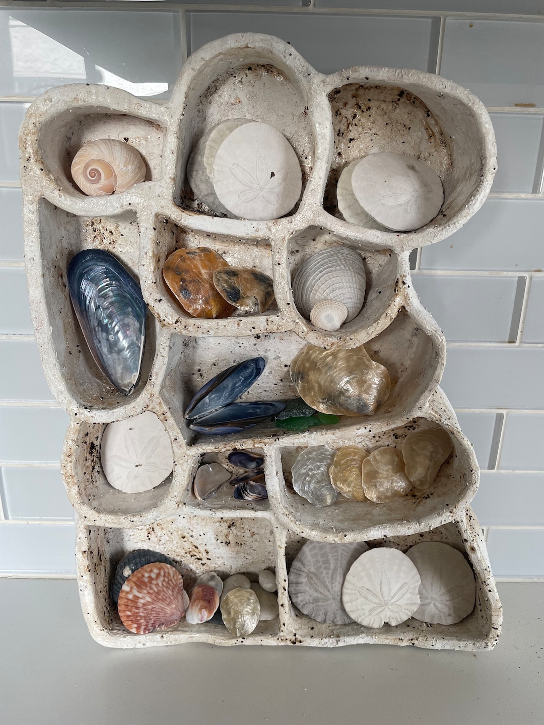 Clam Shell Cubbies Ceramic Treasure Shelf - Clay Curio Shelf - Trinket Shelf - Crystal ...
