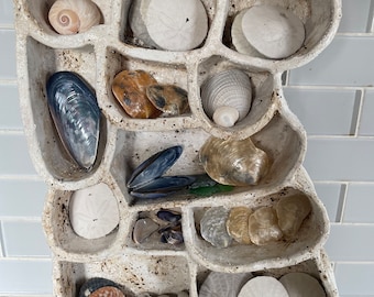 May include: A white ceramic seashell holder with multiple compartments, filled with various seashells, sand dollars, and other beach treasures.