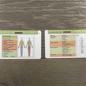Glasgow Coma Scale & Dermatome (sensory Neurons), Nurse Reference Badge ...