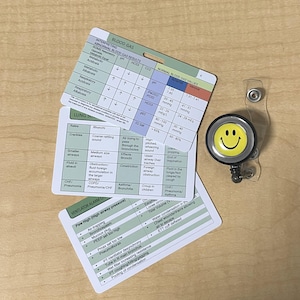 Respiratory Therapist Badge Reel – ABG, Ventilator, Lung Assessment Cards