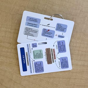 May include: Two white plastic reference cards with rounded corners, connected by a metal ring. The cards feature printed medical flowcharts for Adult BLS and Asystole/PEA protocols, using blue, green, and brown text boxes with black arrows.