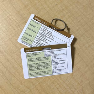 Stroke Scale Badge Set for Nurses: NIHSS Pocket Reference, NIH Stroke Scale Card | Critical Care ICU Neuro Stroke Reference Badge