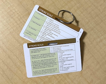 NIHSS Stroke Scale Badge Cards: Nurse Pocket Reference