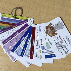May include: A set of medical reference cards on a metal ring, featuring color-coded charts for blood draw orders, immunization schedules, pediatric vital signs, Spanish medical phrases, a pain scale, and diagrams for 12-lead EKG placement.