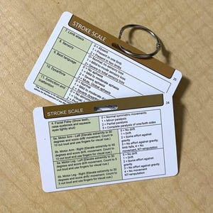 May include: Two white rectangular reference cards labeled STROKE SCALE with brown headers, held together by a silver metal ring. The cards feature green and white tables detailing medical assessment criteria, including limb ataxia, sensory, language, and motor functions.