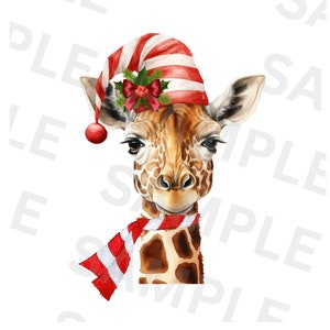 Christmas Giraffe With Santa Hat PNG Clipart, Transparent PNG for Sublimation, Kids/Adult Cartoon Design, Commercial,Giraffe Animal Clip Art