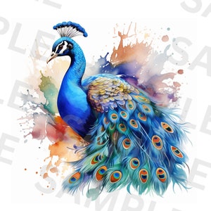 5 Gorgeous Peacock Clipart, Adorable Peacock, Printable Watercolor clipart, High Quality PNGs, Digital download, Scrapbooking, Paper craft