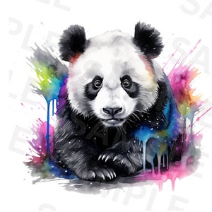 Clipart de urso panda, design de sublimação PNG de urso panda, clipart de rosto de urso, clipart aquarela imprimível, download instantâneo, PNG de alta qualidade