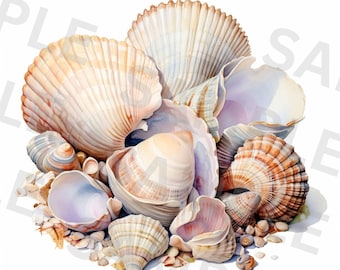 5 Beautiful Sea Shells Clipart, Seashell Clipart, Printable Watercolor clipart, High Quality PNG, Instant Download, Papercraft, Junk Journal