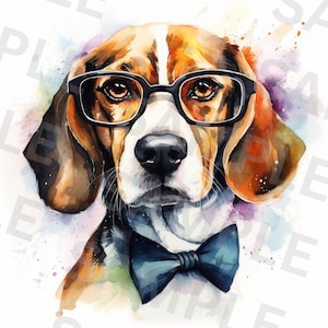 Essential Beagle Grooming Guide: Brushing, Baths, Nails & More