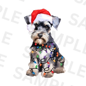 Weihnachten Zwergschnauzer PNG, PNG Sublimationsdesign, Weihnachtstier PNG, Frohe Weihnachten Png, Digitaler Download, Frohe Weihnachten Png