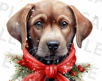 5 Christmas Labrador Clipart, Labrador Retriever Images, Printable Watercolor clipart, High Quality PNGs, Digital download, Scrapbooking