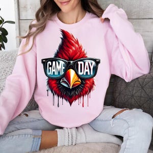 May include: Pink sweatshirt featuring a cartoon cardinal wearing sunglasses that say "GAME DAY".