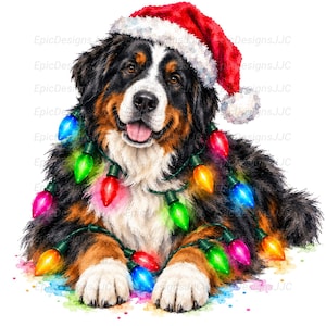 Berner sennenhund jul PNG, sublimeringsdesign, julhund Clipart, Berner tröja design, digital nedladdning, DTF PNG