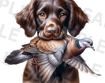 Boykin Dog PNG, Dove Hunting Png, Sublimation Design, Bird Dog PNG, Dove Hunt Sublimation, Hunting Dog Png, Hunting Png, Hunting Season Png