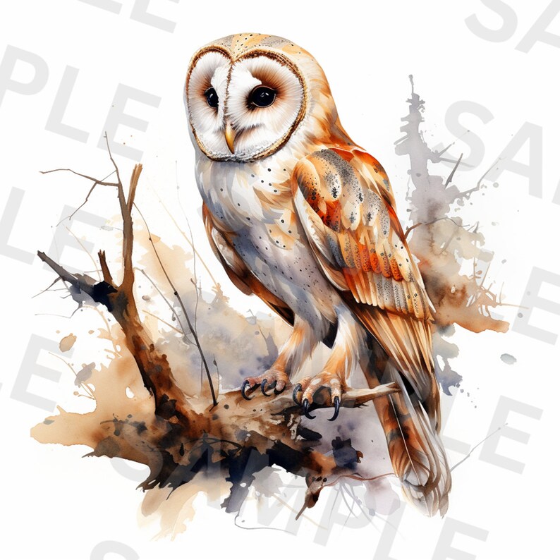 Washed Owl 5 Barn Owl Clipart, Snow Owl Clipart, Cute Owl, Digital Clipart ...